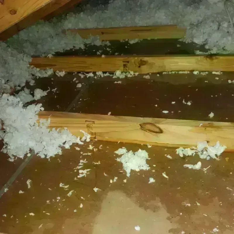 Attic Water Damage in Waynesville, NC